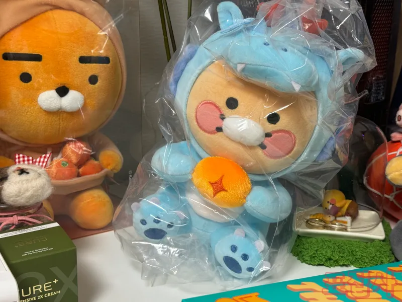 춘식이 인형 앞