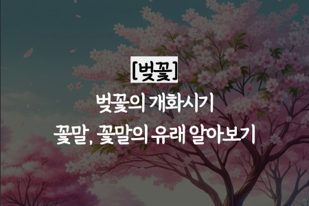 벚꽃 개화시기