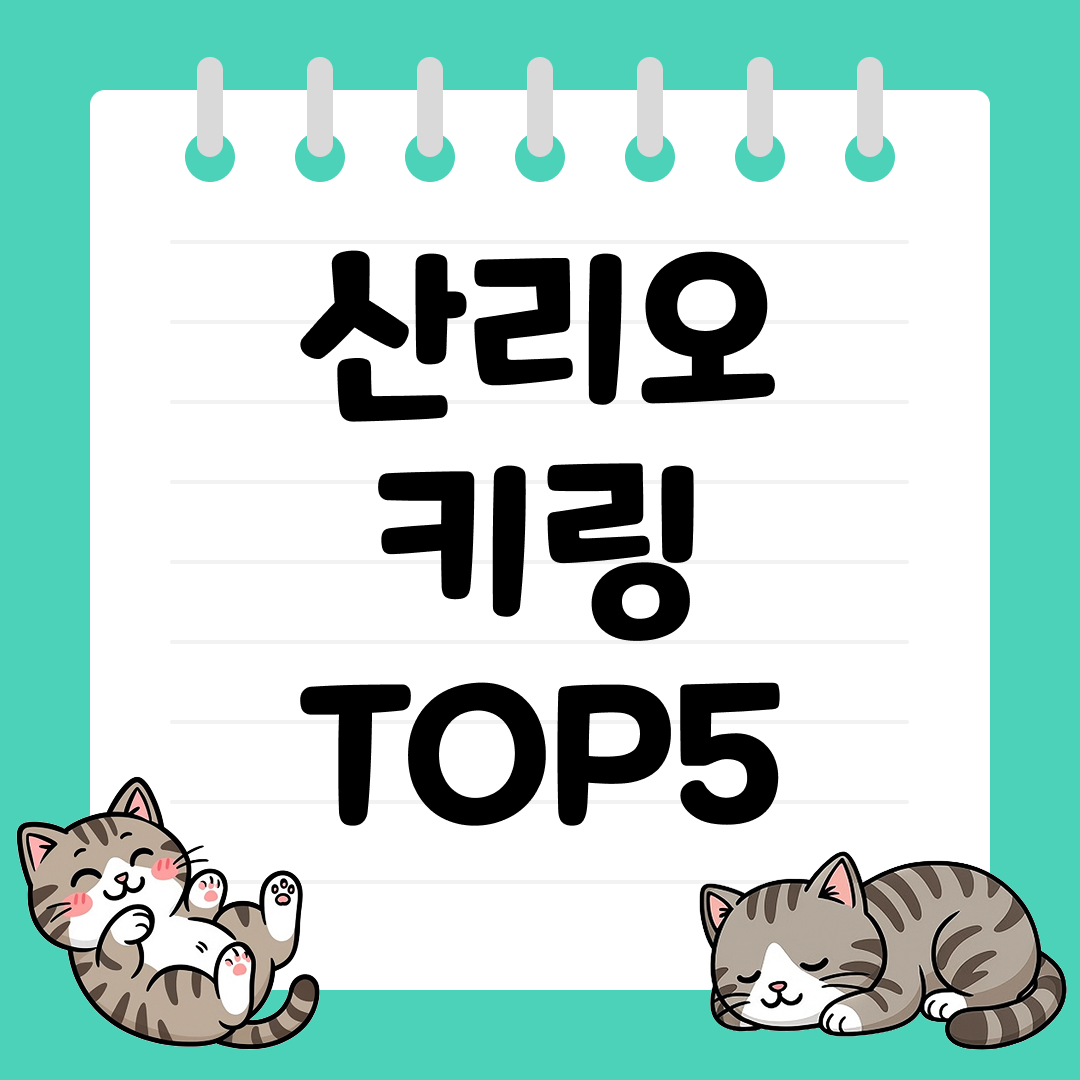 가방 포인트로 좋은 산리오 키링 추천 순위 TOP5