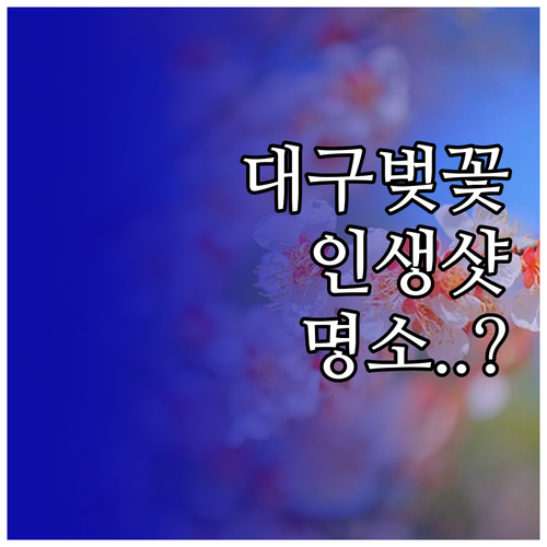 대구 중구 벚꽃 개화일과 만개 시기별..