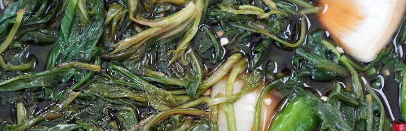 부지깽이나물 2