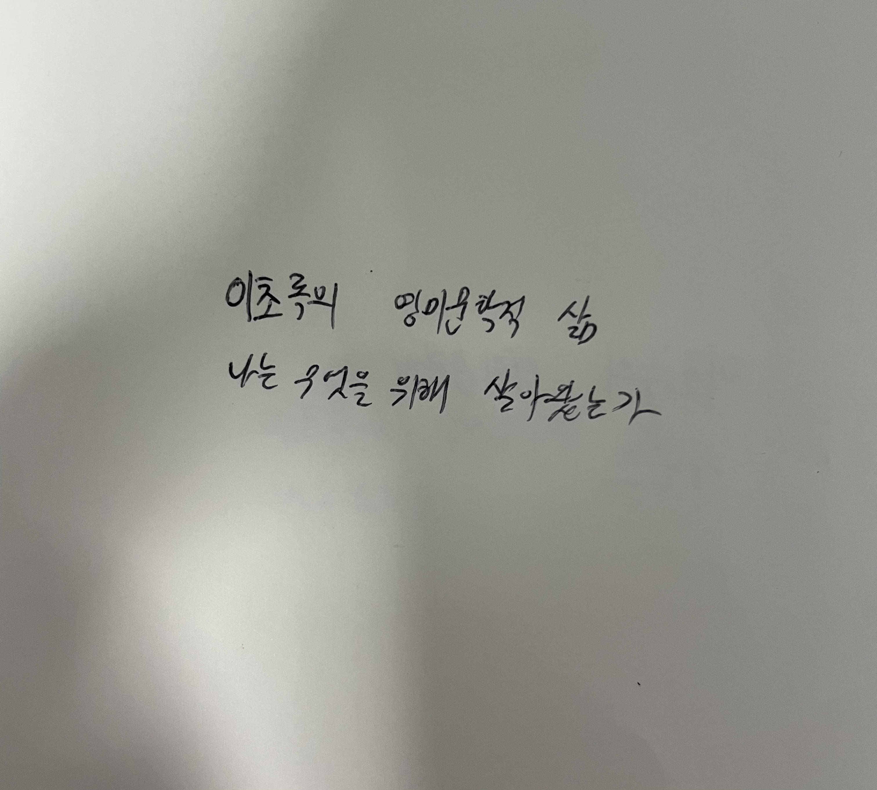 이초록의 영미문학적 삶- 나는 무엇을 위해 살아왔는가 보후밀 흐라발 손글씨