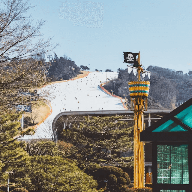 국내 스키장 개장일 &amp;리프트권 할인 완벽 가이드