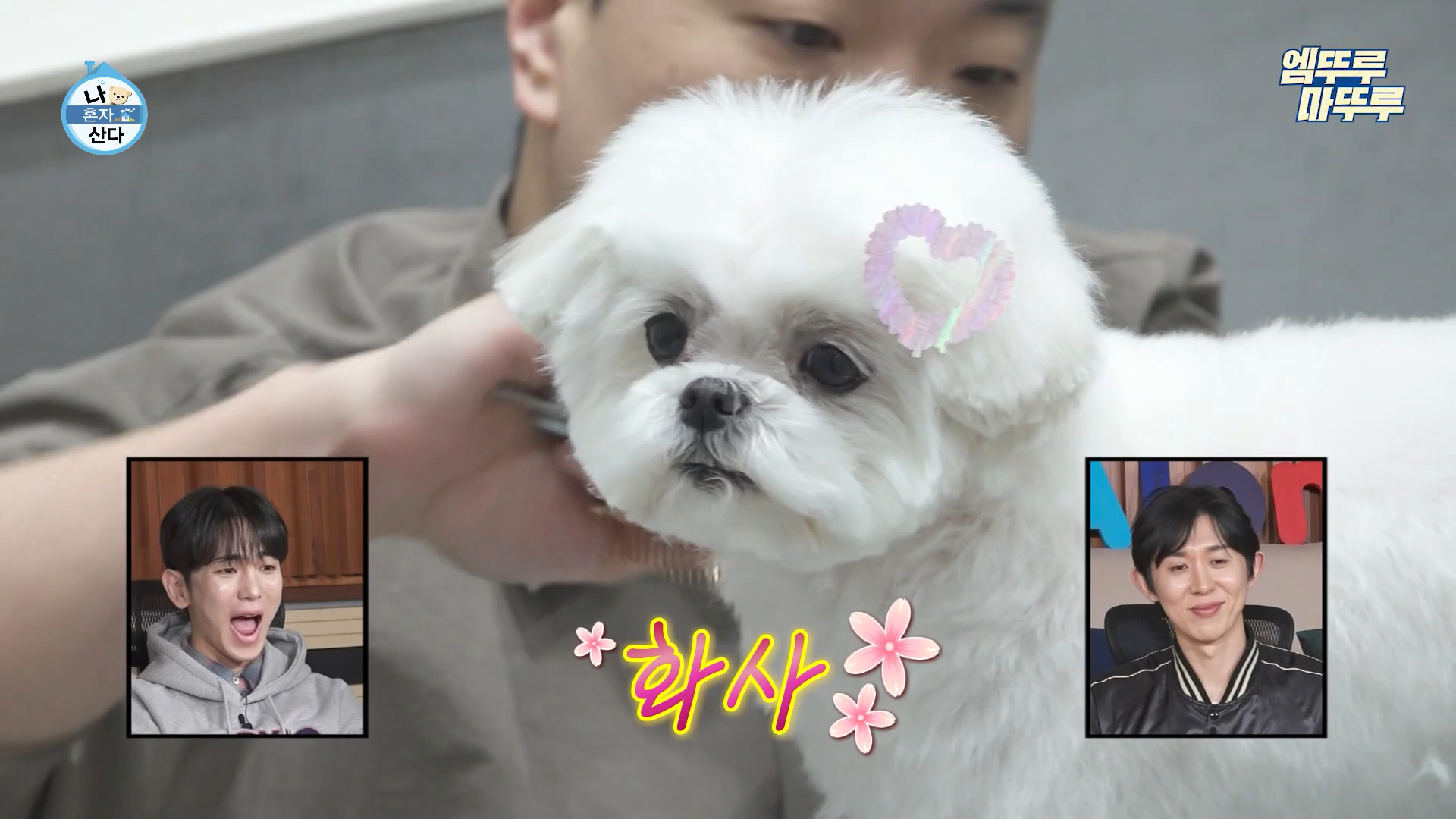 나혼자산다 584회