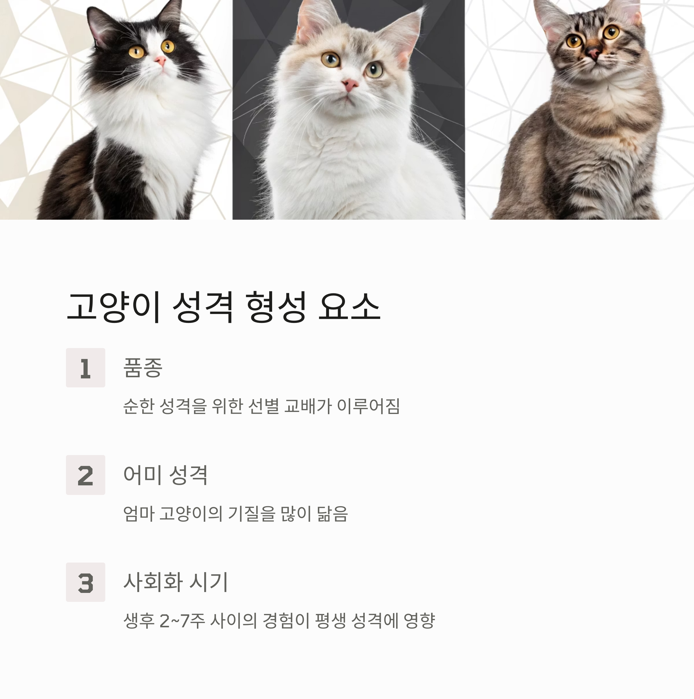 고양이 성격 형성 요소