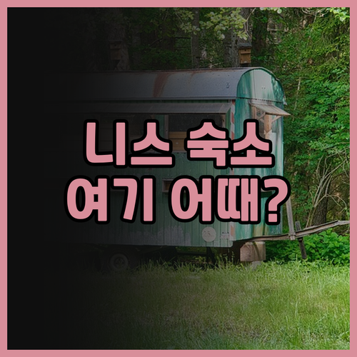 니스 호텔 아포지아 니스 후기 위치,..