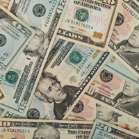 달러-사진
