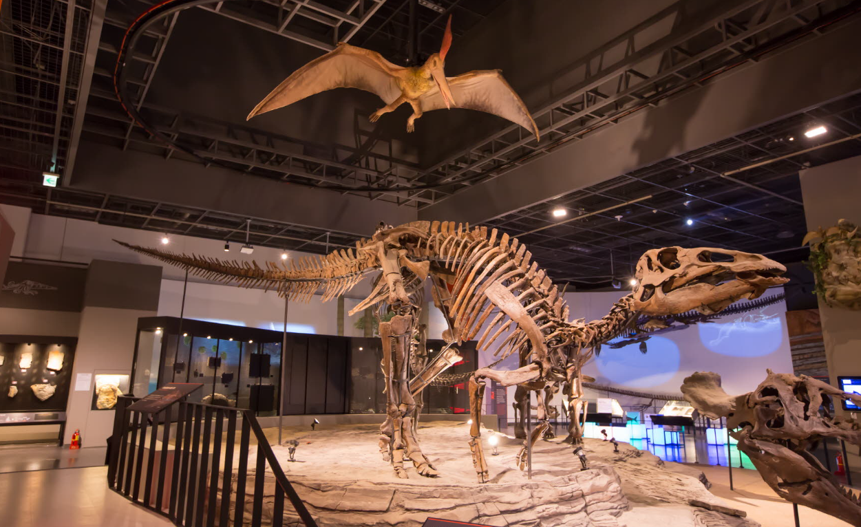 국립과천과학관 자연사관의 공룡 전시물