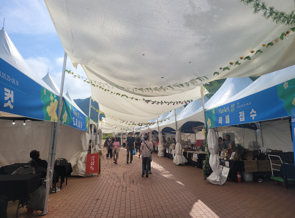 2024 가평 자라섬 꽃 페스타: 북한강 가을 꽃축제, 할인 혜택, 프로그램, 주차팁