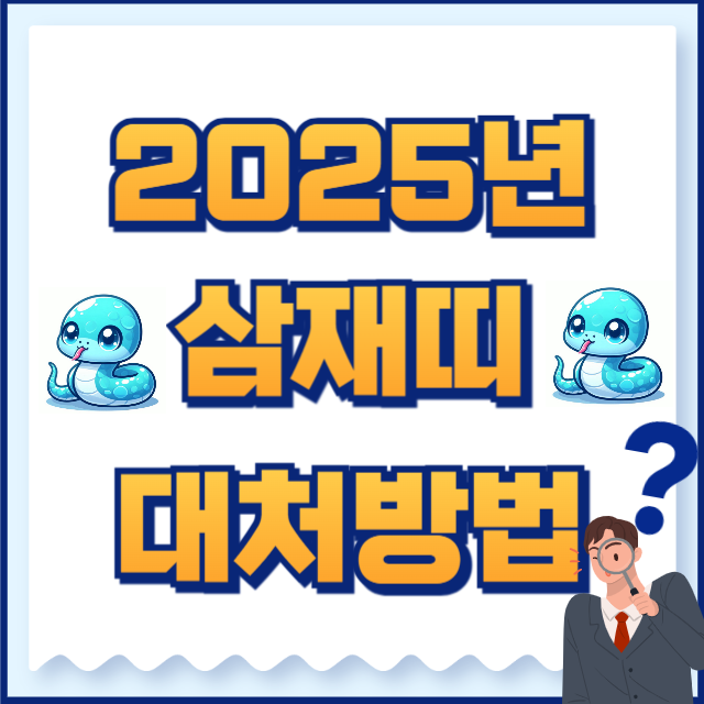 2025년 삼재띠
