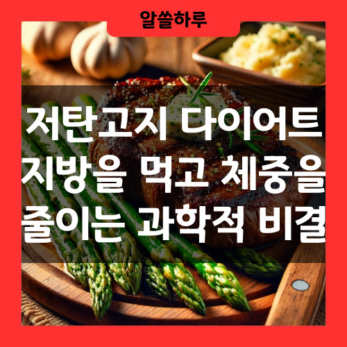 저탄고지 다이어트 비결