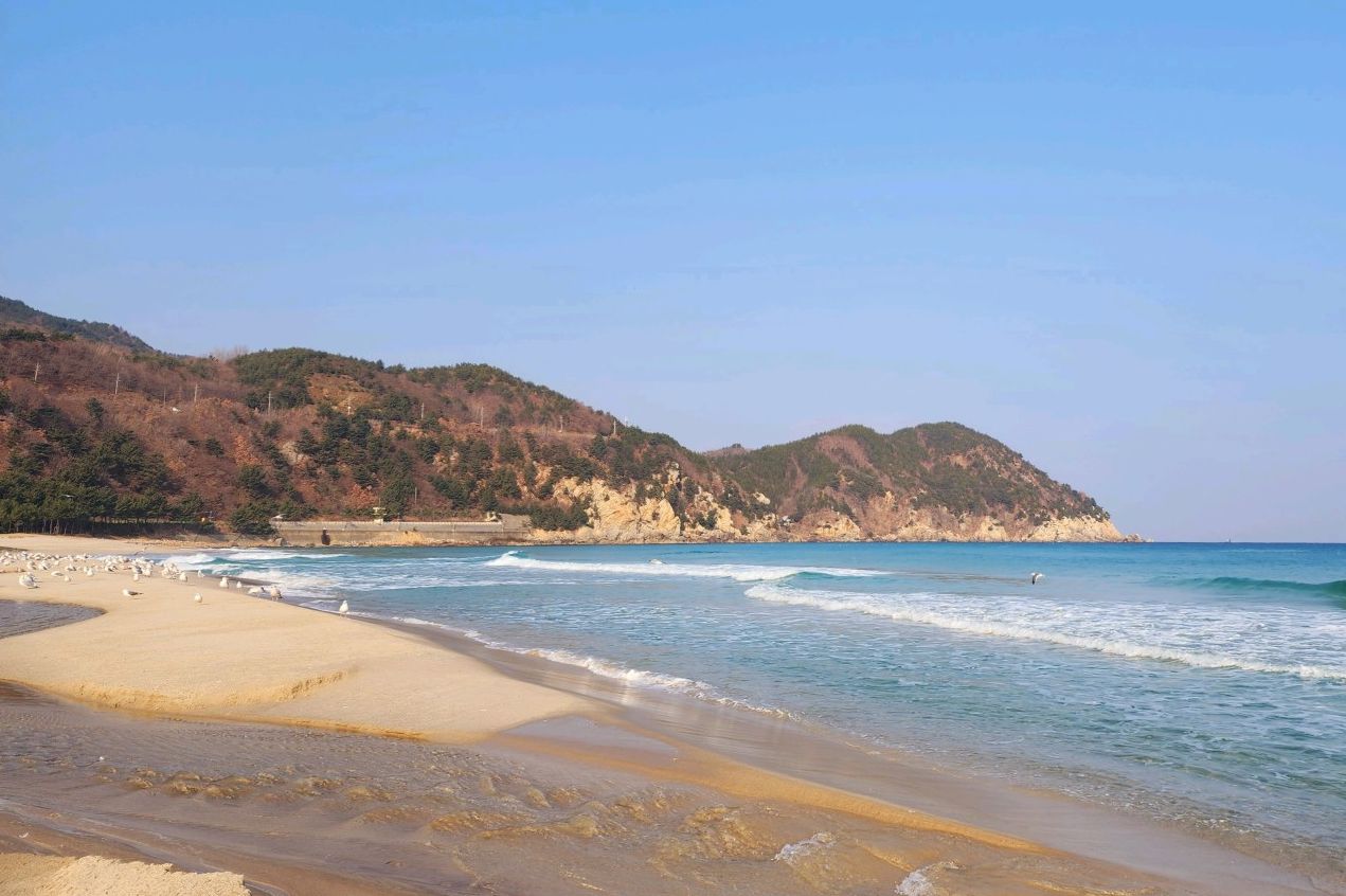 용화해수욕장