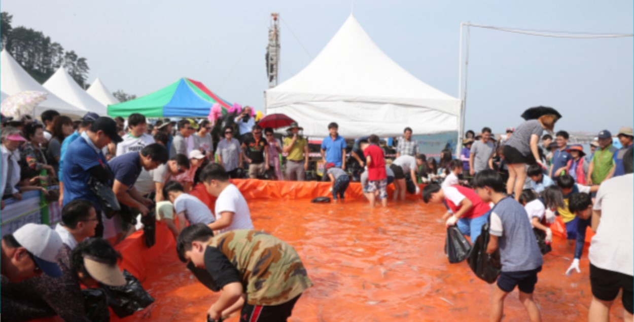 서천 홍원항 전어꽃게축제