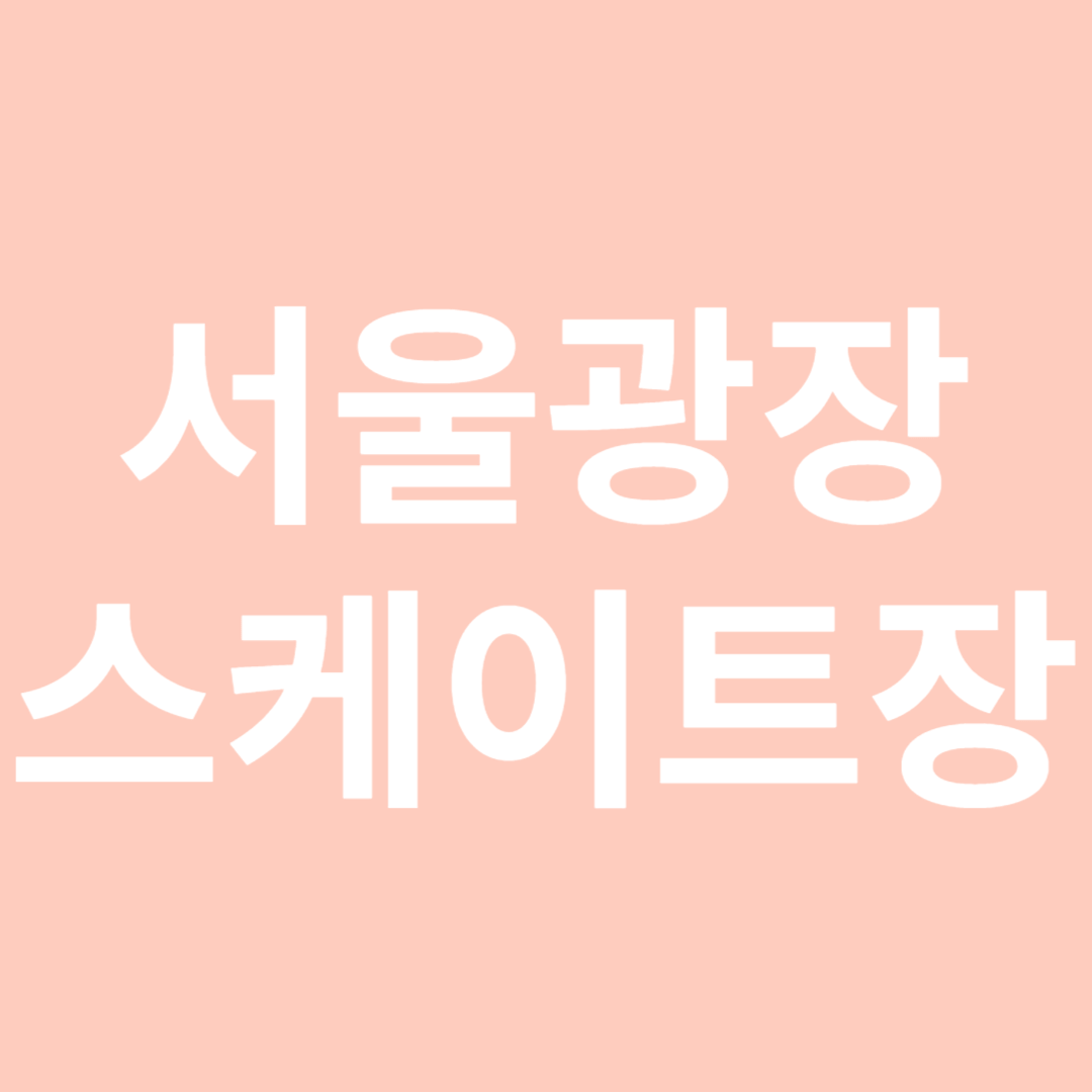 서울광장 스케이트장