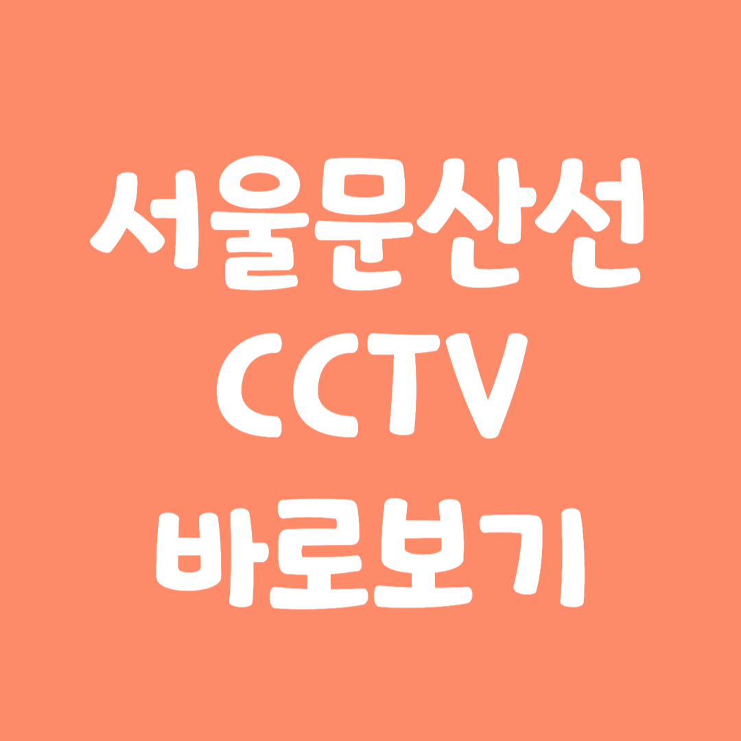 실시간 서울문산선 CCTV 바로보기