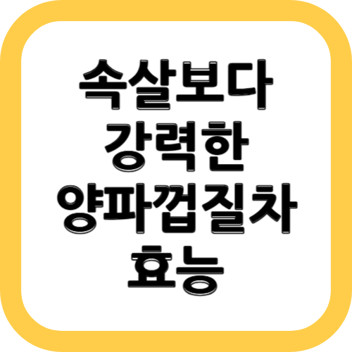 양파껍질차 효능