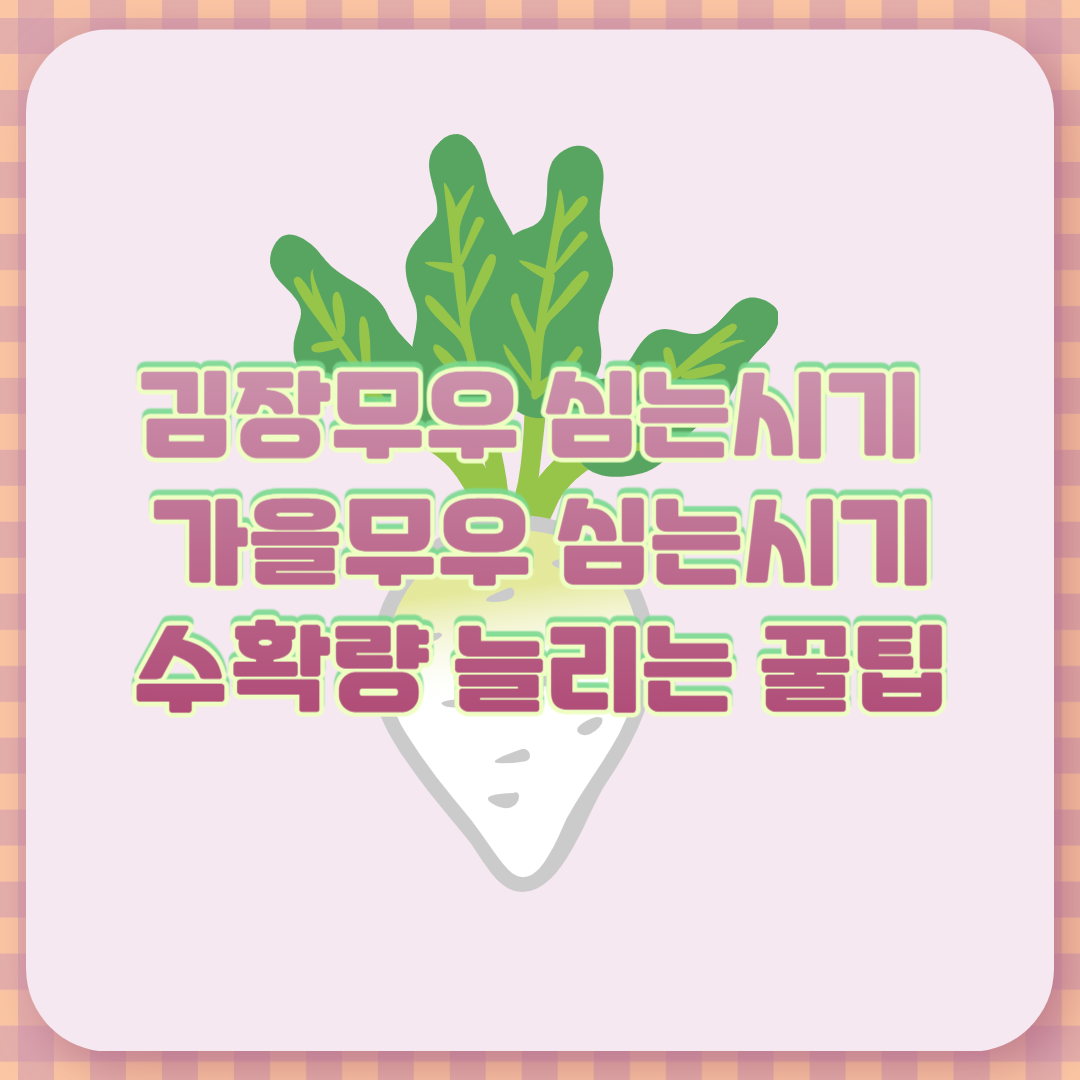 김장무우 심는시기, 가을무우 심는시기 간격 및 수확량 늘리는 꿀팁