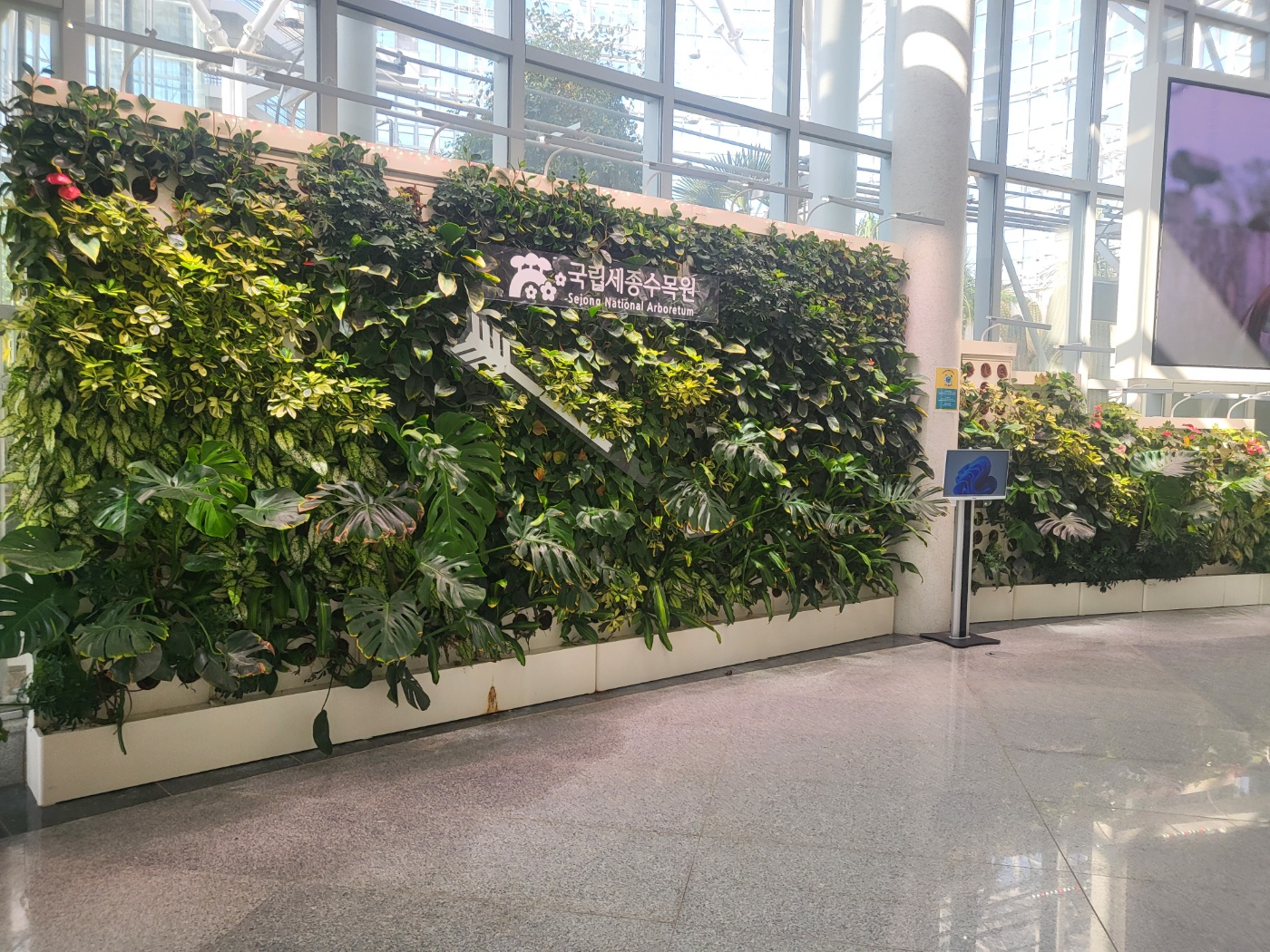 세종 아이와 가볼 만 한 곳 (세종수목원)