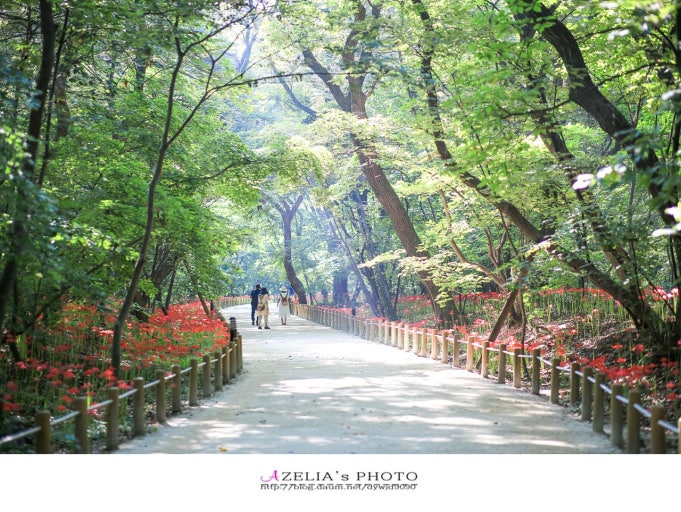 상림공원 내