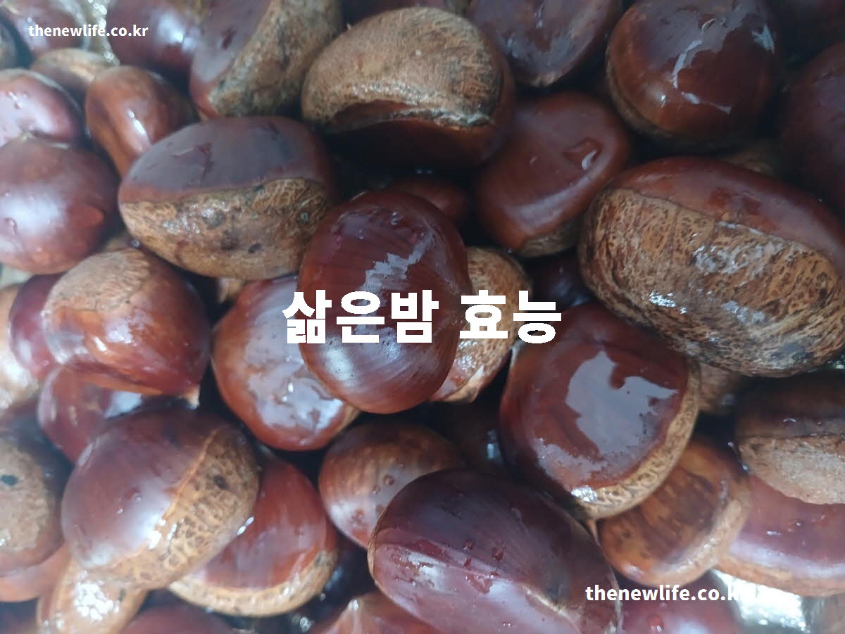 삶은밤 효능 대표 실사진