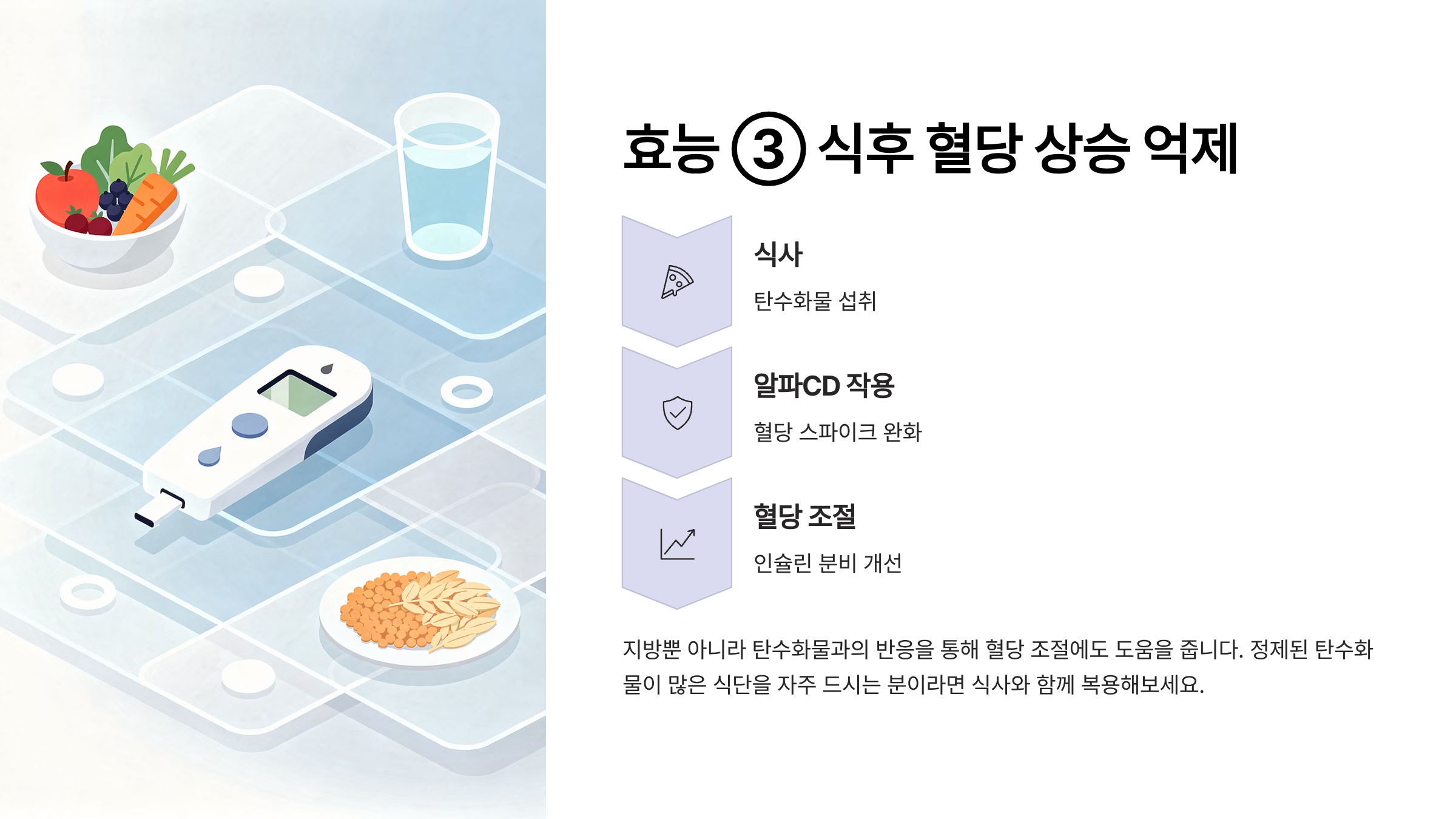 알파CD효능