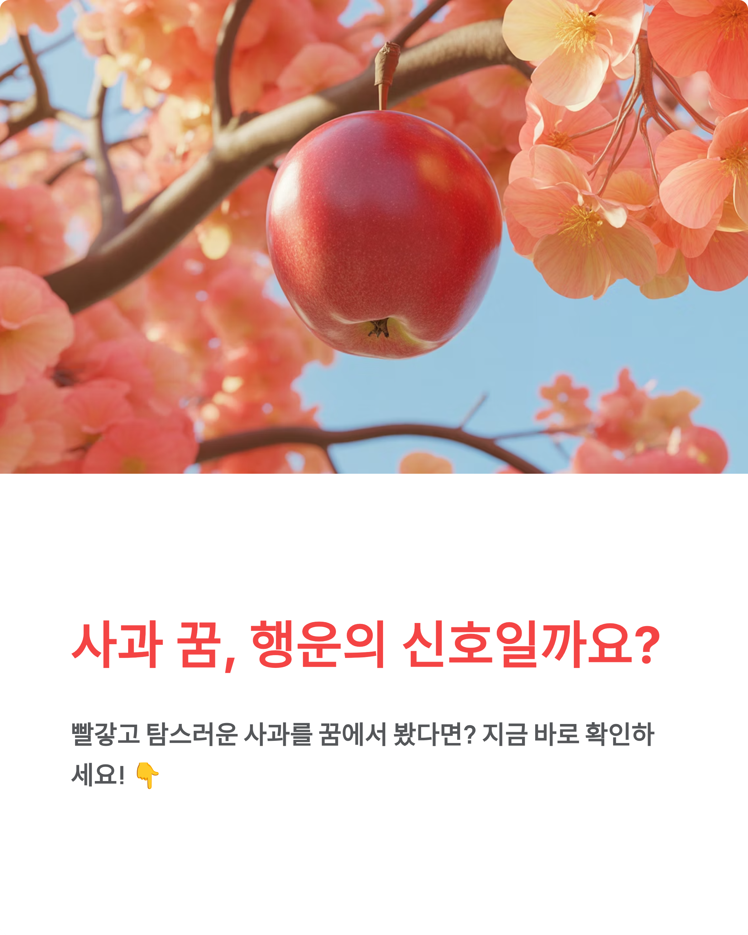 사과꿈해몽 ❘ 빨간 사과 먹는 꿈 따는 꿈 의미 총정리