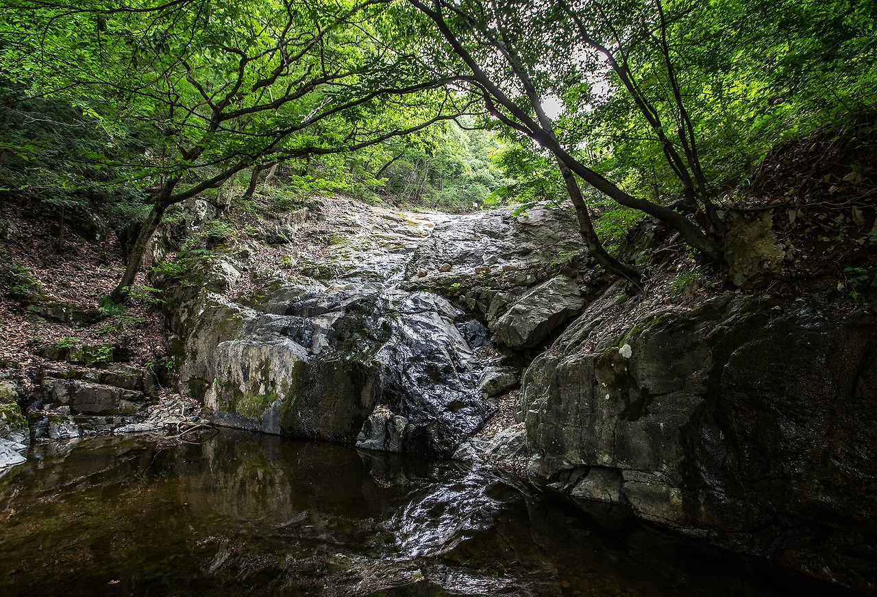기장임랑 썸머뮤직페스티벌 완벽 가이드
