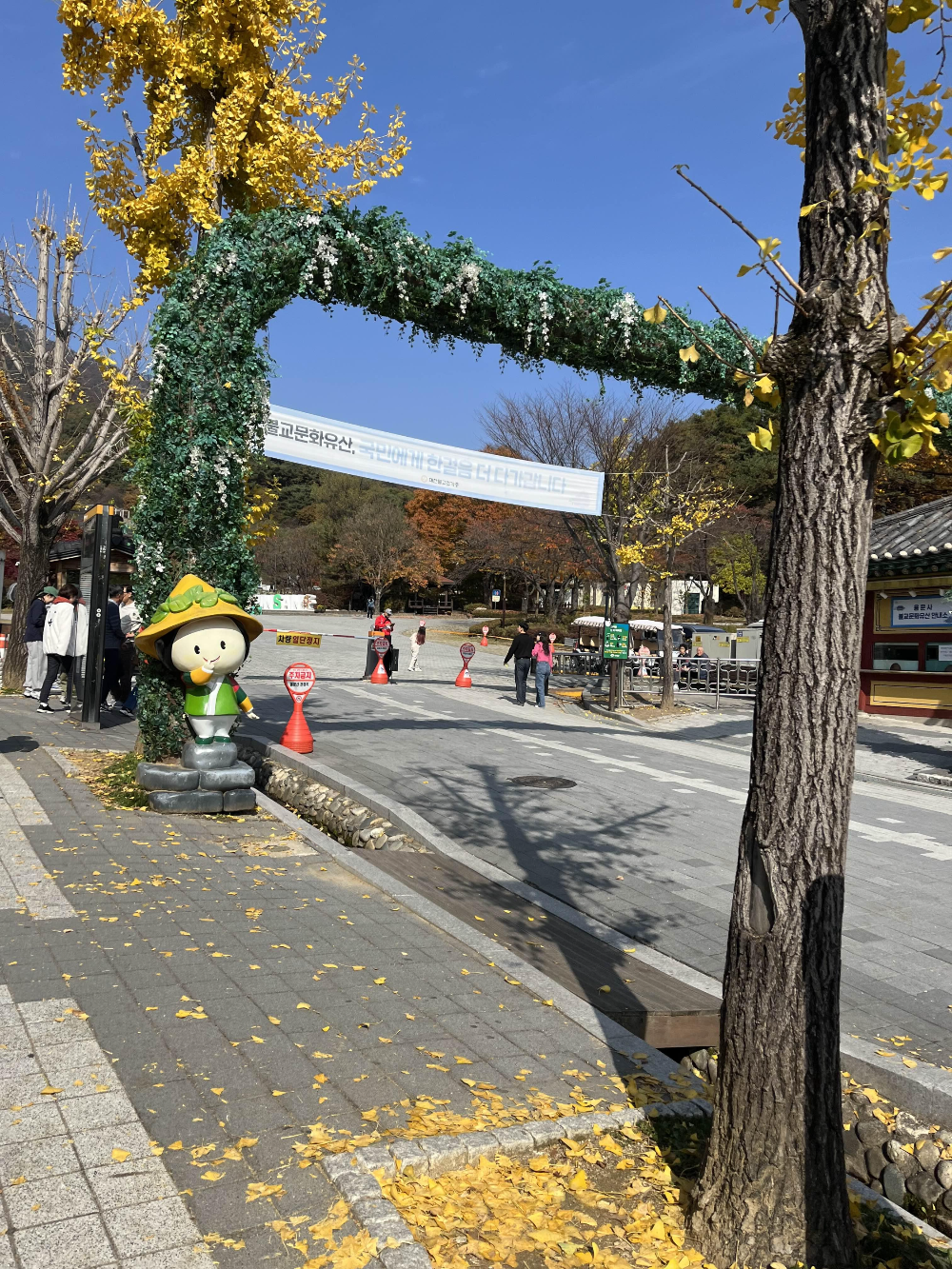 단풍명소 용문사