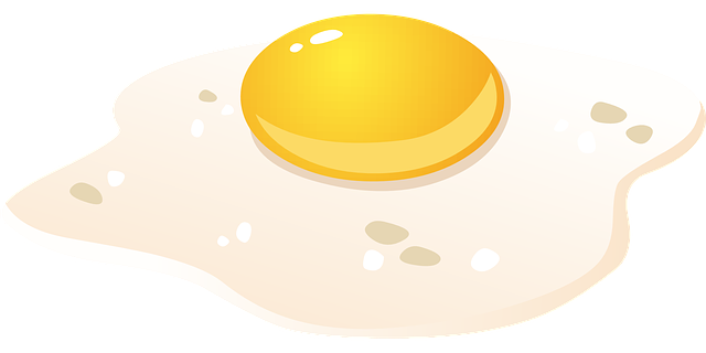 ❓ 생활 건강 속설 ❘ 계란은 하루에 하나만 먹어야 한다? 콜레스테롤과 HDL/LDL 관계의 진실