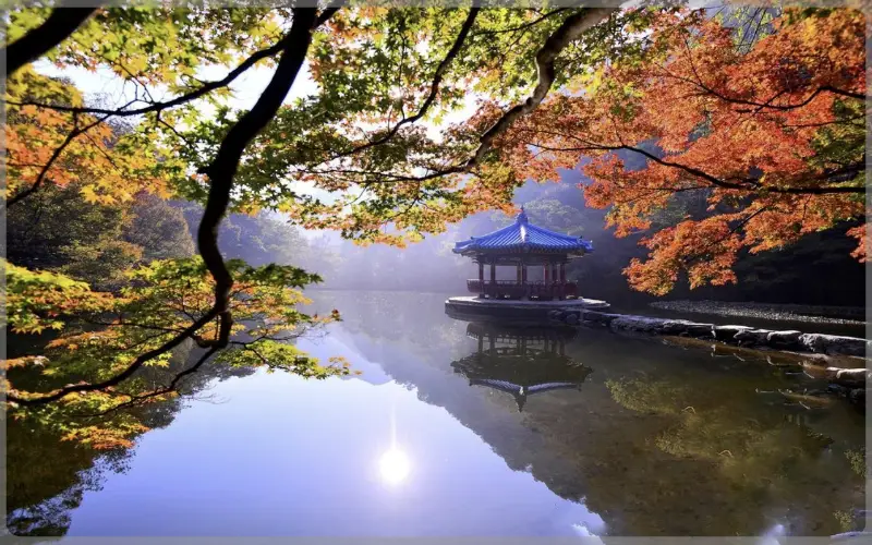 내장산 단풍_1