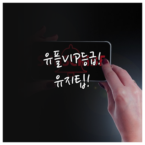 유플러스 멤버십 VIP 등급 기준과 ..