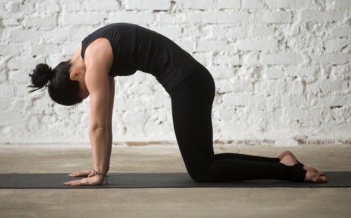 고양이 소 자세