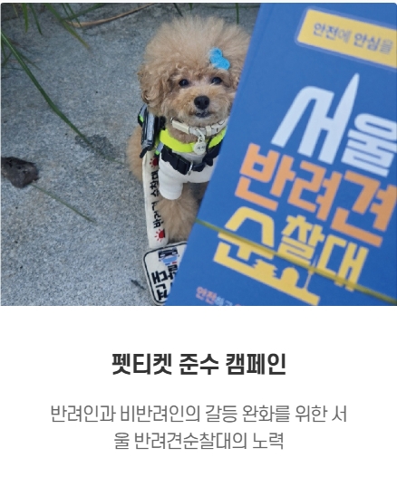 서울 반려견 순찰대