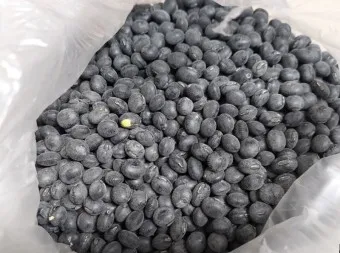 서리태 효능 먹는법 영양성분_12