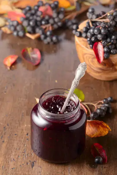 아로니아 효능 총정리|눈 건강·피부·혈관 개선 효과와 부작용까지