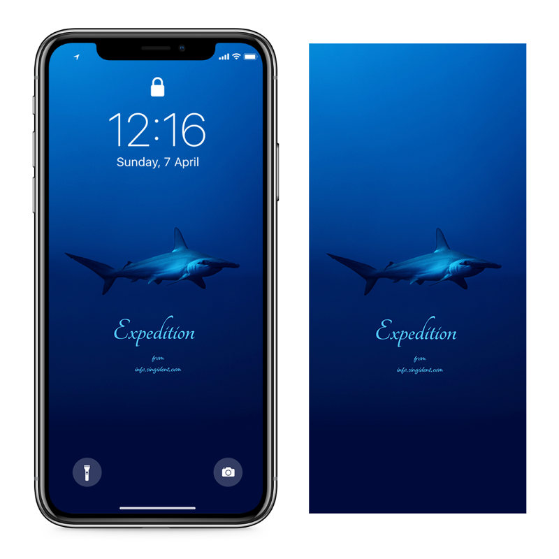 04 심해 상어 C - Expedition 아이폰여름배경화면