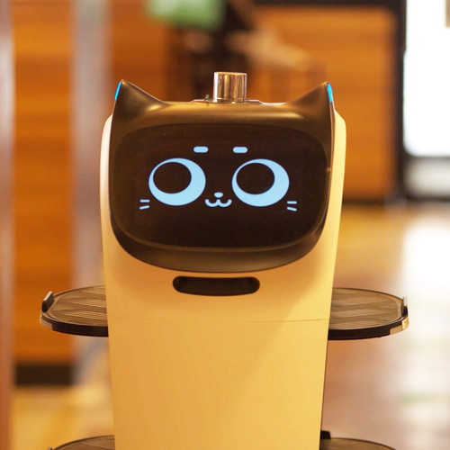 식당에서 음식을 나르는 고양이 얼굴의 로봇