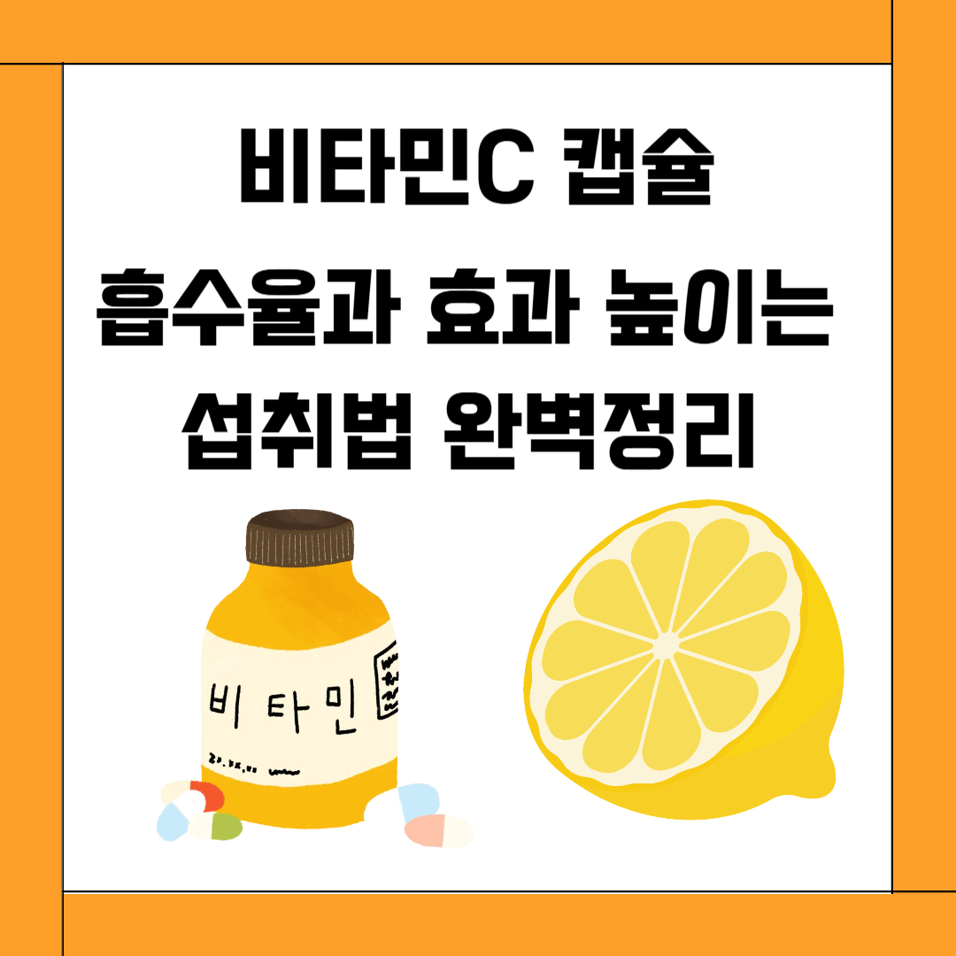 비타민C 캡슐, 흡수율과 효과 높이는 섭취법 완벽정리