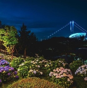 장생포수국축제포토존