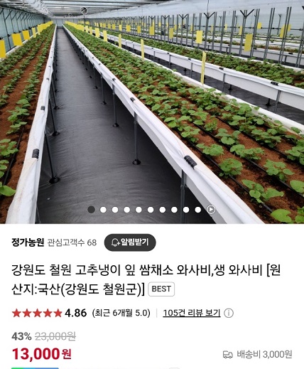 6시내고향-철원-고추냉이-정가농원-고추냉이잎