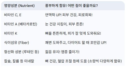 케일-주요-영양-성분-효능-요약