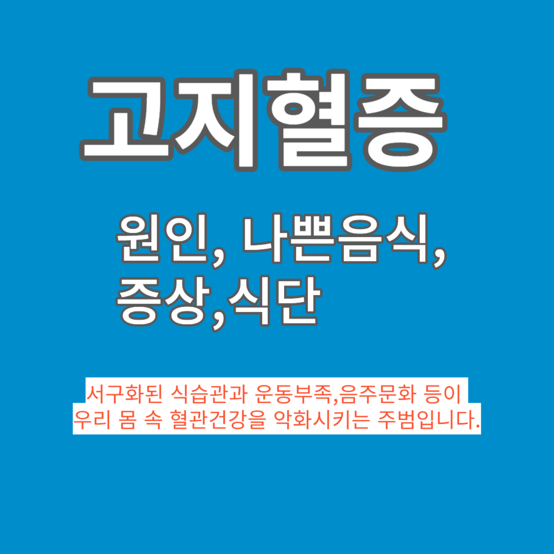 고지혈증 원인 나쁜음식 증상 식단은?