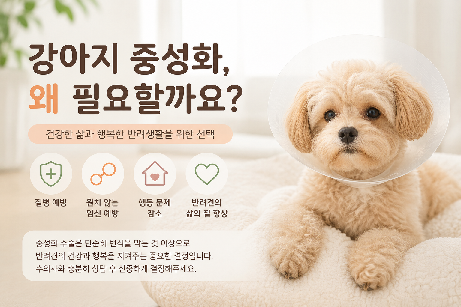 중성화