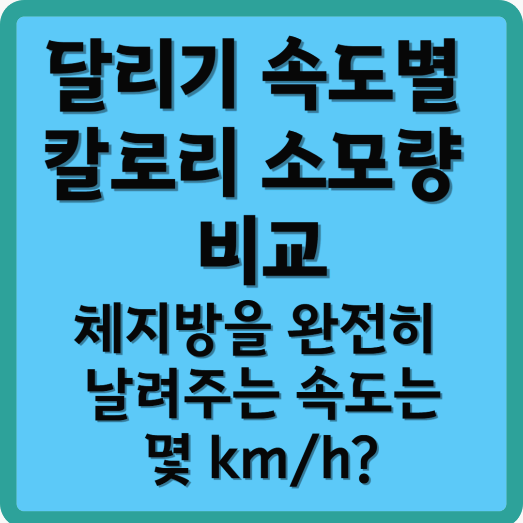 달리기 속도별 칼로리 소모량 비교-체지방을 완전히 날려주는 속도는 몇 km/h?