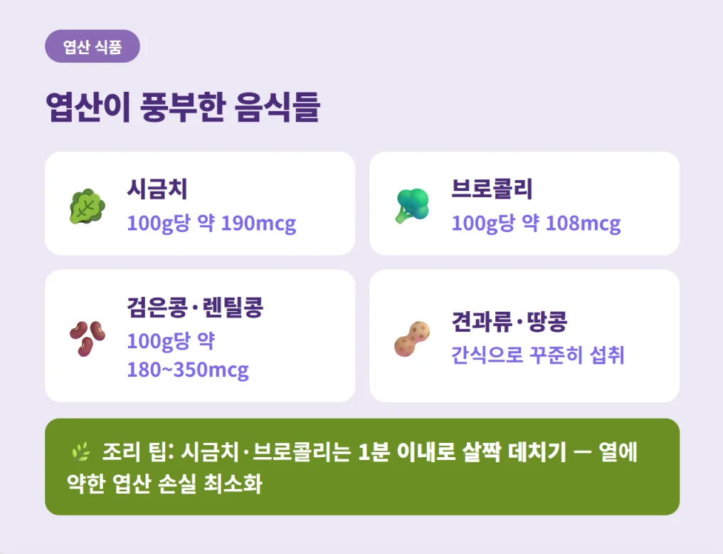 시금치, 브로콜리, 콩류, 견과류의 엽산 함량과 영양소 보존을 위한 조리 팁