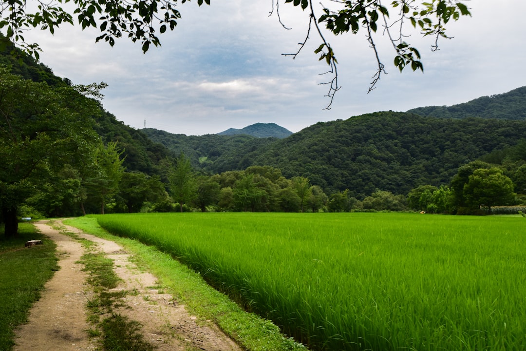 Gapyeong
