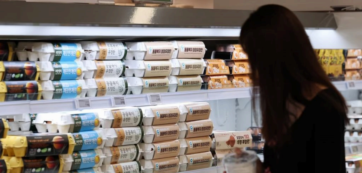 "한국, 6월 물가 2.2% 상승&hellip; 고등어 16%, 라면 7% 올라 '식료품 인플레이션'에 대한 불안"