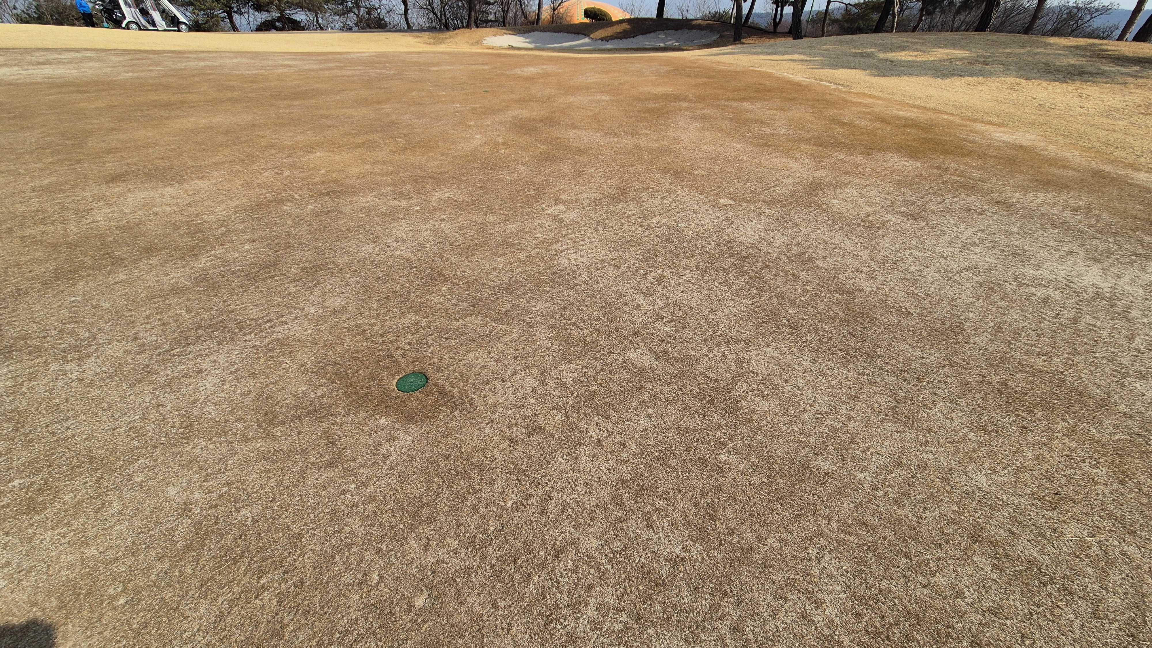 비에이비스타cc 호박-보나(퍼블릭) 코스 그린관리상태