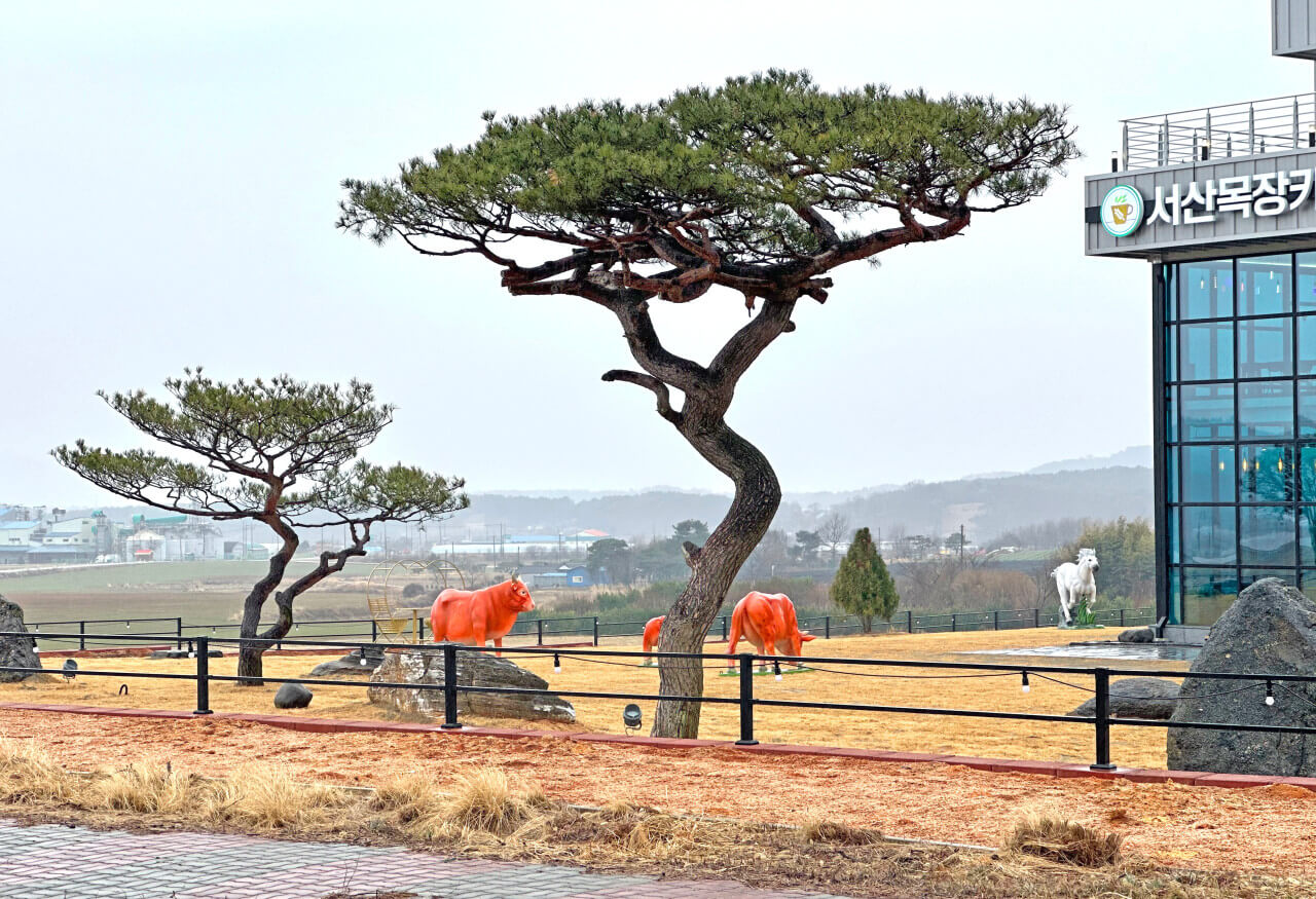 생생정보 미스터 Lee의 사진 한 컷 충남 서산 카페 힐링명소 서산목장카페 생생정보 2295회