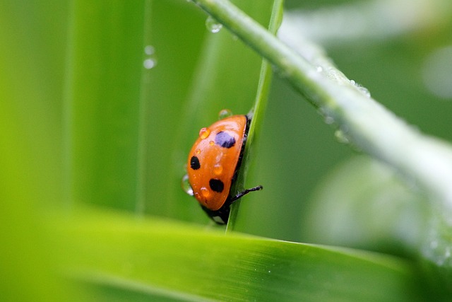 건강 목표 설정법